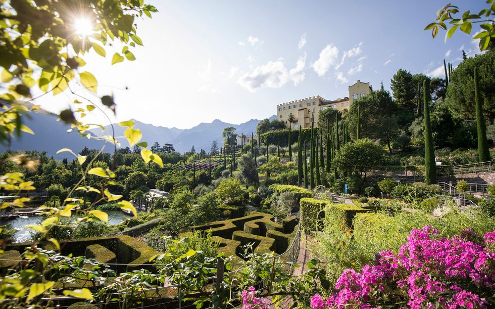 Zwei Mountainbiker fahren auf einem Wanderweg durch grüne Weinberge in Andrian, Südtirol