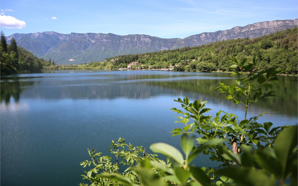 Blick auf den Montiggler See bei Andrian in Südtirol im Sommer