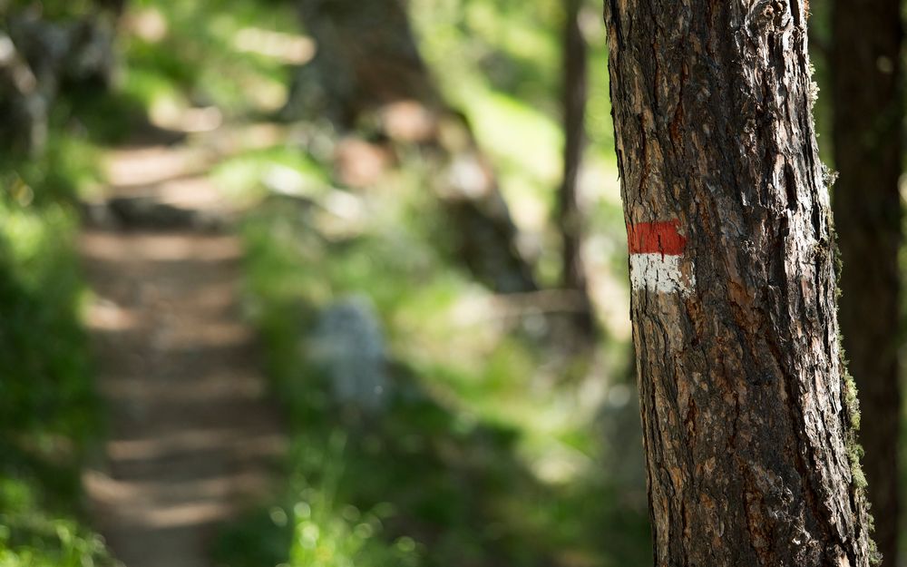 Zwei Wanderer genießen die Aussicht auf die Berge und Weinberge in Andrian, Südtirol