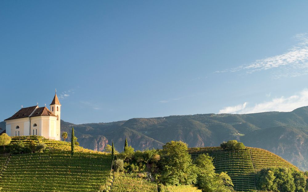 Zwei Mountainbiker fahren auf einem Waldweg in den Bergen bei Andrian, Südtirol