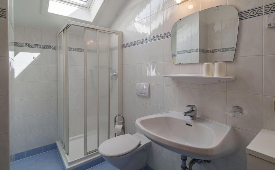 Bagno piccolo con doccia, WC, lavabo, specchio e finestra sul soffitto.