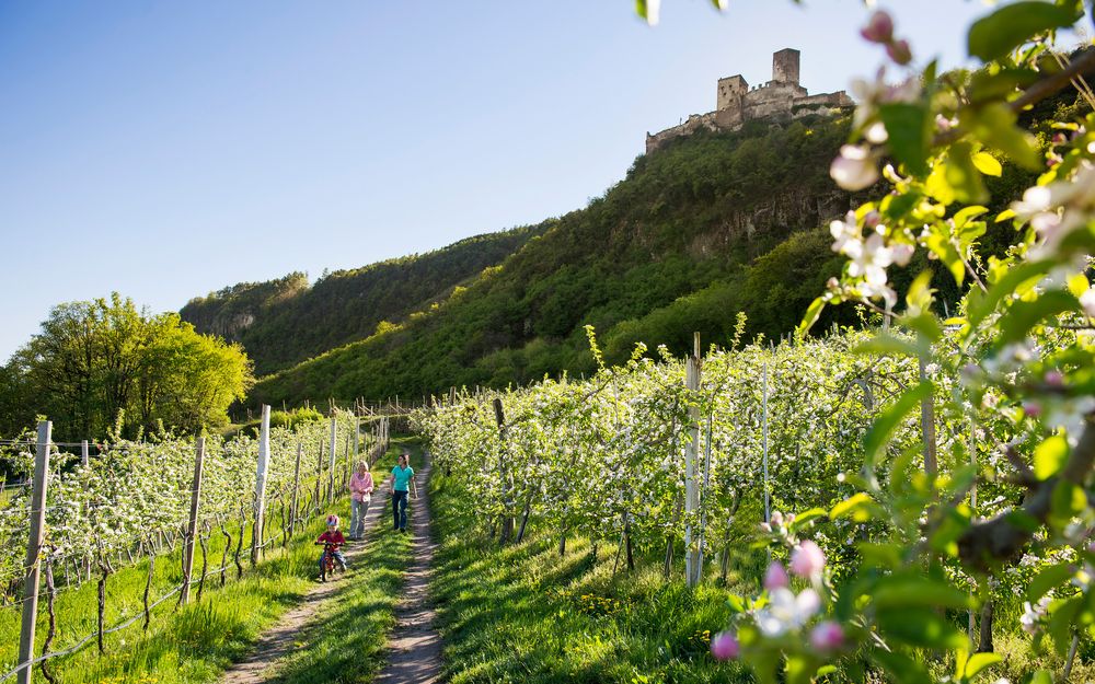 Familie wandert auf einem sonnigen Waldweg in Südtirol nahe dem Wieserhof Andrian