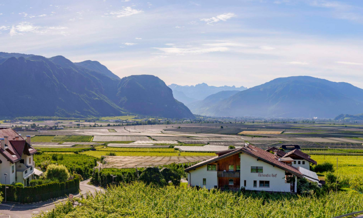 Ein sonniges Tal mit Apfelplantagen und landwirtschaftlichen Flächen, umgeben von Bergen unter einem hellen Himmel, mit zwei Häusern im Vordergrund.